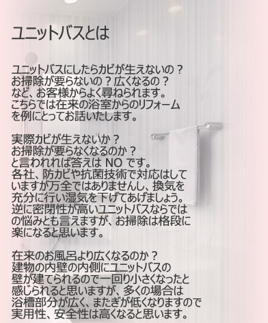 ���j�b�g�o�X�Ƃ� 